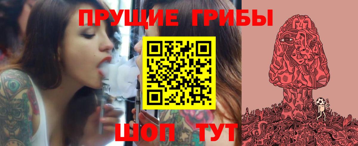 Псилоцибиновые грибы Cubensis Курчатов