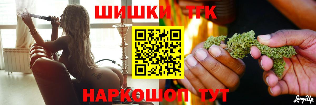 МЕФ Курчатов